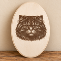 Longhair Cat Portrait Oval Wooden Plaque
